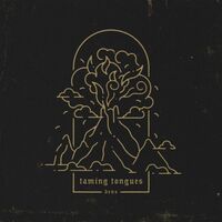 Dens - Taming Tongues vinyl cover