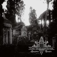 Der Trauerschwan - Sanguinare Vampiris vinyl cover