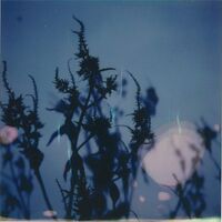 Derek Rogers - Immersions vinyl cover