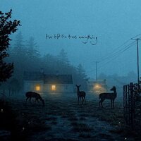 Dermot Kennedy - I've Told The Trees Everything vinyl cover