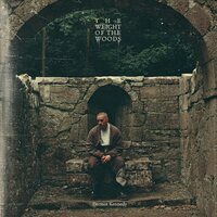 Dermot Kennedy - The Weight of the Woods vinyl cover