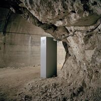 Deru - We Will Live On vinyl cover