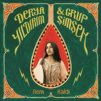 Derya / Grup Simsek Yildirim - Nem Kaldi vinyl cover