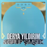 Derya Yildirim & Grup Simsek - Dost 1 & 2 (With Gold Foil Print Sleeve) vinyl cover