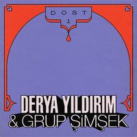 Derya Yildirim / Grup Simsek - Dost 1 vinyl cover