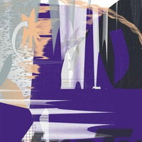 Des Coda - Mean Field Mutation vinyl cover