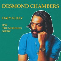 Desmond Chambers - Haly Gully B / W The Morning Show vinyl cover