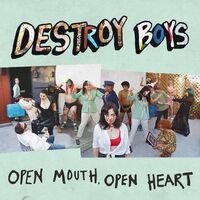 Destroy Boys - Open Mouth, Open Heart (Purple) vinyl cover