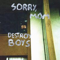 Destroy Boys - Sorry, Mom vinyl cover