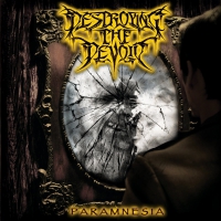 Destroying The Devoid - Paramnesia vinyl cover