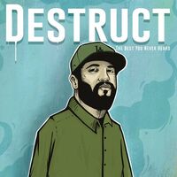 Destruct - The Best You Never Heard vinyl cover