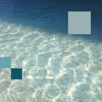 Detroit Swindle - Can't Hold It vinyl cover