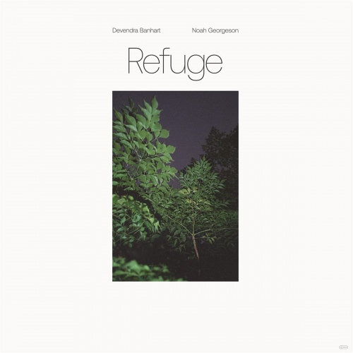 Devendra Banhart - Refuge vinyl cover