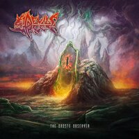 Devil's Reef - The Droste Observer vinyl cover