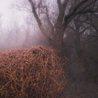 Devil's Trade - Nincs Szennyezetlen Szep vinyl cover