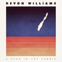 Devon Williams - Tear In The Fabric vinyl cover