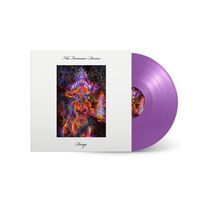 Dexys - Feminine Divine (Purple)