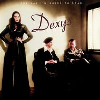 Dexys - One Day I'm Going To Soar vinyl cover