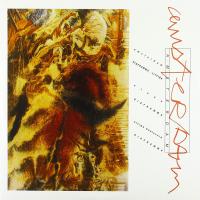 Diaframma / Litfiba - Amsterdam vinyl cover