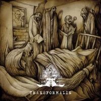 Diagnose: Lebensgefahr - Transformalin + Transformalin II vinyl cover