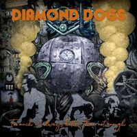 Diamond Dogs - Too Much Is Always Better Than Not Enough vinyl cover