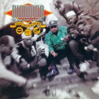 Diamond & The Psychotic Neurotics - Stunts Blunts & Hip Hop vinyl cover
