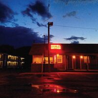 Diana Demuth - Misadventure vinyl cover