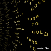 Diarrhea Planet - Turn To Gold vinyl cover