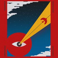 Diasonics - Ornithology vinyl cover