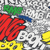 Didaflo - Doodooloops vinyl cover