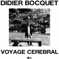Didier Bocquet - Voyage Cerebral vinyl cover