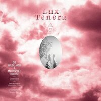 Die Wilde Jagd & Metropole Orkest - Lux Tenera: A Rite To Joy vinyl cover