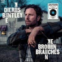 Dierks Bentley - Broken Branches (Jet Black) vinyl cover