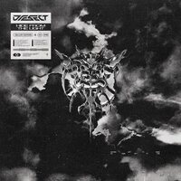 Diesect - Hide From The Light vinyl cover