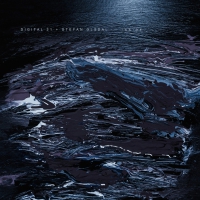 Digital 21 - Inside vinyl cover