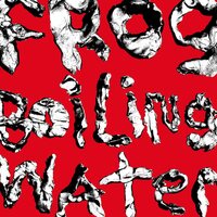 DIIV - Frog In Boiling Water vinyl cover