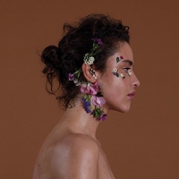 Dillon - Kind vinyl cover