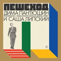 Dima Pantyushin - Peshekhod vinyl cover