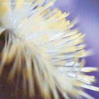 Dimi Angelis - NECH034 vinyl cover