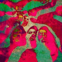 Dimorphodons - Waui vinyl cover