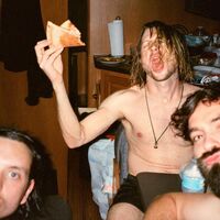 Dinosaur Pile-Up - Celebrity Mansions vinyl cover