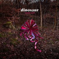 Dinosaur - Wonder Trail vinyl cover