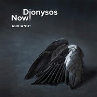 Dionysos Now! - Willaert: Adriano 4 vinyl cover