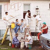 Dip - The Dip vinyl cover
