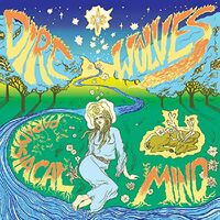 Dire Wolves - Paradisiacal Mind vinyl cover