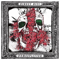 Direct Hit! - Domesplitter vinyl cover