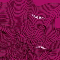 Dirtmusic - Bu Bir Ruya vinyl cover