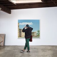 Dirty Projectors - Flight Tower vinyl cover