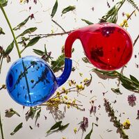 Dirty Projectors - Lamp Lit Prose vinyl cover