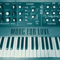 Disclosure - Moog For Love vinyl cover